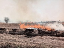 На территории Гурьевского муниципального округа с начала 2023 года зарегистрировано 36 пожаров