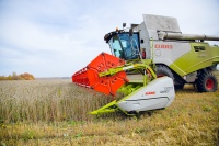 Высокая урожайность полей Гурьевского округа помогла досрочно собрать в Кузбассе 1 млн тонн зерна